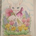 Image client Crayons de couleur Polychromos - 60 Crayons