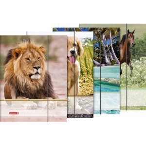 Dossier avec élastique - A4 - animaux Dossier avec élastique - A4 - animaux