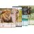 Dossier avec élastique - A4 - animaux Dossier avec élastique - A4 - animaux