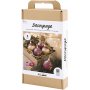 Kit DIY Dcoupage - Nol rouge - Fleurs sches