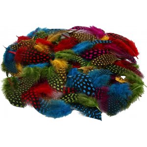 Plumes de pintade - couleurs mélangées - 50 g Plumes de pintade - couleurs mélangées - 50 g