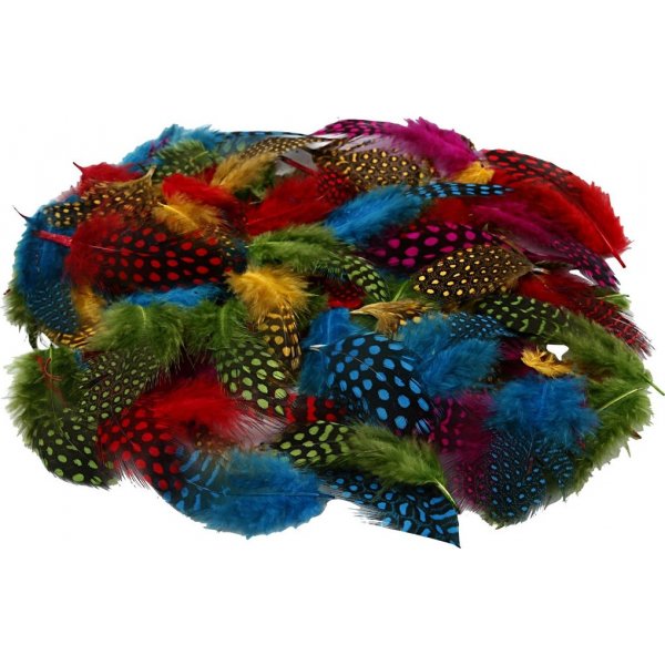 Plumes de pintade - couleurs mlanges - 50 g