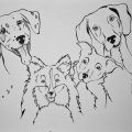 Image client Touch Fineliner - 5 pièces