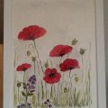 Image client Bloc aquarelle Fabriano 300 g grain grossier - 355 x 510 mm - 15 feuilles