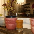 Image client Pots en terre cuite 6 cm - paquet de 10