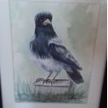 Image client Bloc Aquarelle Coll� Rough Grove Arches 300g - A4