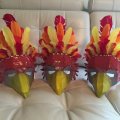 Image client Plumes indiennes 20 - 30 cm - plusieurs couleurs mélangées paquet de 10