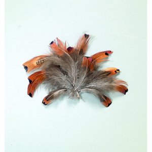 Plumes de faisan 10 cm - naturelles 2 g Plumes de faisan 10 cm - naturelles 2 g