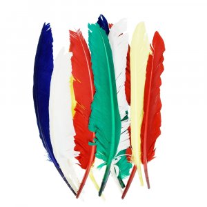 Plumes indiennes 20 - 30 cm - plusieurs couleurs mélangées paquet de 10 Plumes indiennes 20 - 30 cm - plusieurs couleurs mélangées paquet de 10