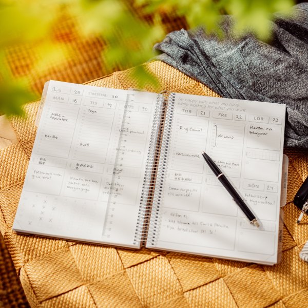 Journal de solde Journal de solde