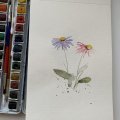 Image client Peinture aquarelle W&N Cotman Demi-tasse - 003 Alizarine teinte pourpre