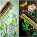 Image client Crayons aquarelle Noris - 36 crayons