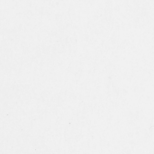 Etiquettes en carton fort - 25 x 40 mm - blanc - 100 pcs