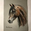 Image client Bloc pastel Tiziano