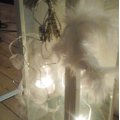 Image client Plume de marabout 80 - 100 mm - blanche 2 g ~ 22 pcs.