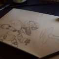 Image client Crayons graphite Progresso - 8B