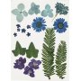 Fleurs et feuilles sches - bleu