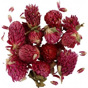 Fleurs séchées - Trèfle rouge - 15 g Fleurs séchées - Trèfle rouge - 15 g