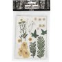 Fleurs et feuilles sches - blanc cass