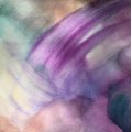 Image client Modèle et éponge à peinture ø 7 x 3 cm - 1 pc.