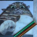 Image client Crayon de couleur Polychromos - 177 Brun Noyer