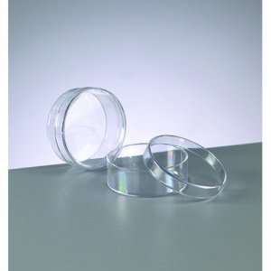 Récipient en plastique 4 x 1,5 cm - rond transparent (PS) Récipient en plastique 4 x 1,5 cm - rond transparent (PS)