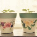 Image client Bouchon �ponge � 40 mm - blanc