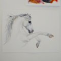 Image client Canson Montval 300g grain fin - 36x48 cm