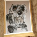 Image client Canson Mi-Teintes Touch 350g 50x65 cm - Gris clair