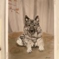 Image client Canson Mi-Teintes Touch Papier Pastel 350 g - A3