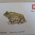 Image client Carte postale aquarelle Raphaël - 11 feuilles