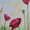 Image client Peinture aquarelle W&N Cotman Tube 8ml - 098 Rouge de cadmium teinte profonde