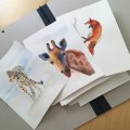 Image client Portfolio de dessins avec �lastique - 37x52 cm