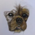 Image client Copic Ciao - Mélangeur "0"