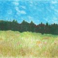 Image client Set de pastels à l'huile - 50 crayons de couleur