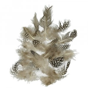 Plumes de pintade 40 - 80 mm - naturelles 3 g ~ 36 pcs. Plumes de pintade 40 - 80 mm - naturelles 3 g ~ 36 pcs.