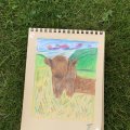 Image client Crayons de couleur Polychromos - 12 Crayons