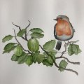 Image client