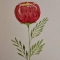 Image client Bloc Aquarelle Collé Pressé à Froid Arches 300g - A4