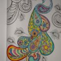 Image client Stylo aquarelle Mondeluz - Boite métal 48 stylos
