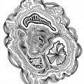 Image client Ensemble Fineliner Pigma Micron - 10 stylos (003, 005, 01, 02, 03, 04, 05, 08, 10, 1)
