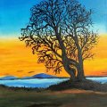 Image client Diluant Fine Art 222 - 1000 ml