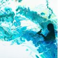 Image client Peinture acrylique Amsterdam 500 ml - Bleu verdâtre