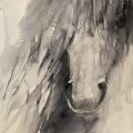 Image client Peinture aquarelle W&N Professional en tube de 5 ml - Gris de Payne 465