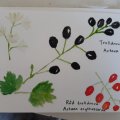Image client Carte postale aquarelle Raphaël - 11 feuilles