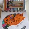 Image client Stylos à pointe fibre Triplus Color en étui 1mm - 20 stylos