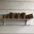 Image client Pots en terre cuite 10 cm - paquet de 10