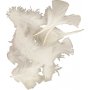 Duvet - blanc - 50 g