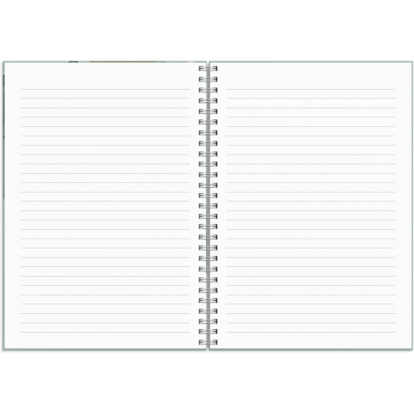 Calendrier 24/25 Snateur - A5 - Story Kvist