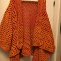 Image client Coton Doux 50g - Orange